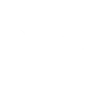 A logo of goroll client: fenix insight