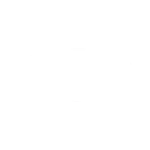 A logo of goroll client: legend fleet